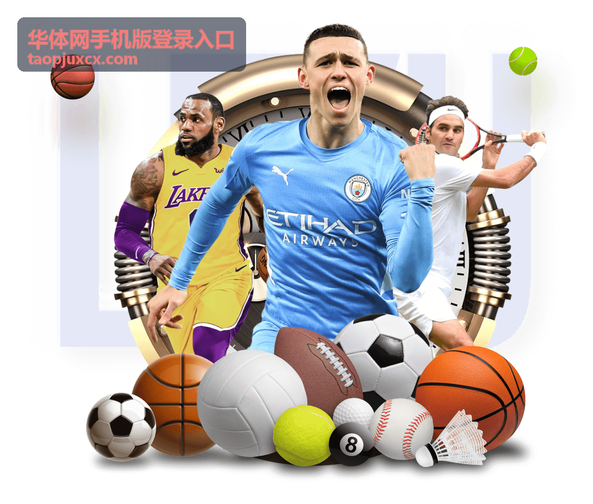 华体网手机版登录入口在手机上的页面示意